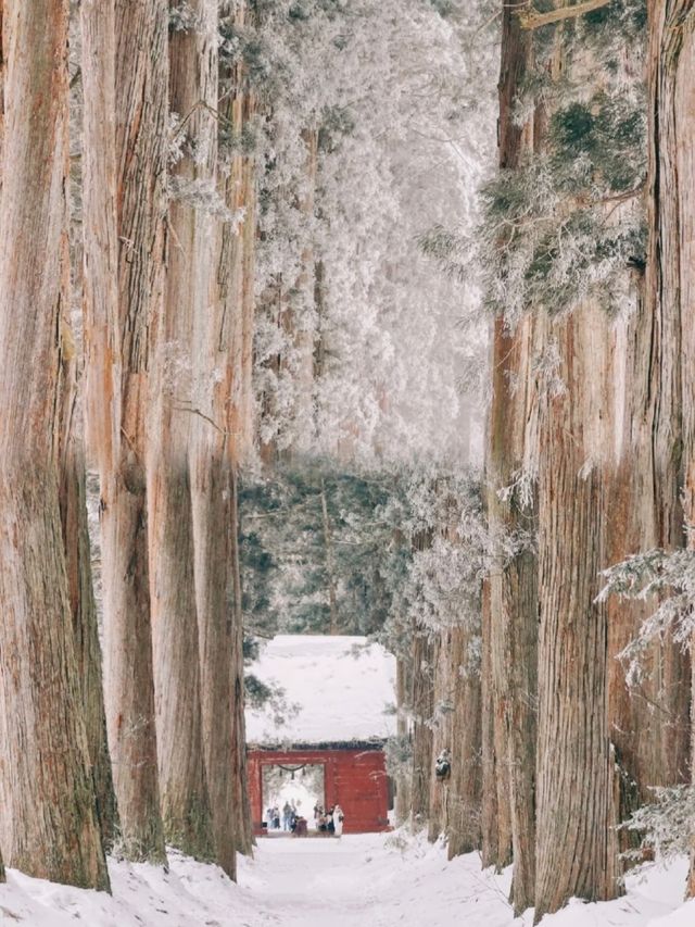 長野·戶隱神社