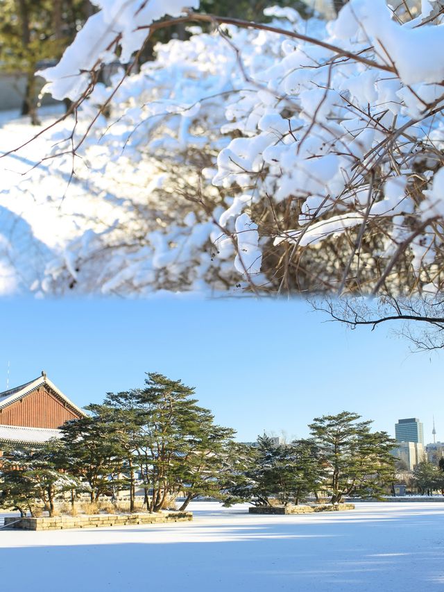 白雪中的首爾景福宮｜美到仿彿身處童話
