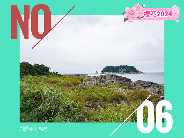 🇰🇷濟州西歸浦市鳥島