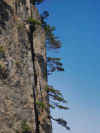 此時的黃山像一幅潑墨山水畫，你確定不來嗎