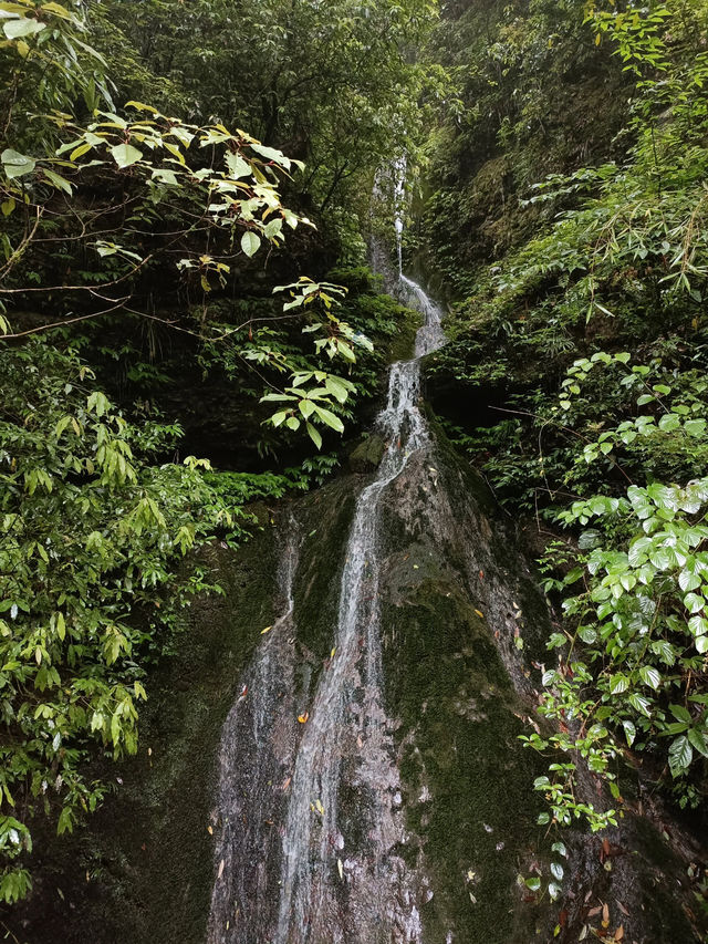 青城後山徒步吸氧之旅