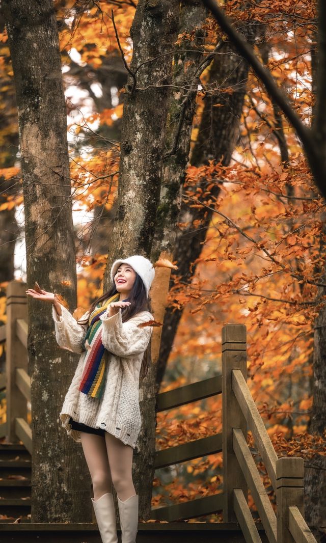 成都周邊遊｜秋天的光霧山很美哇