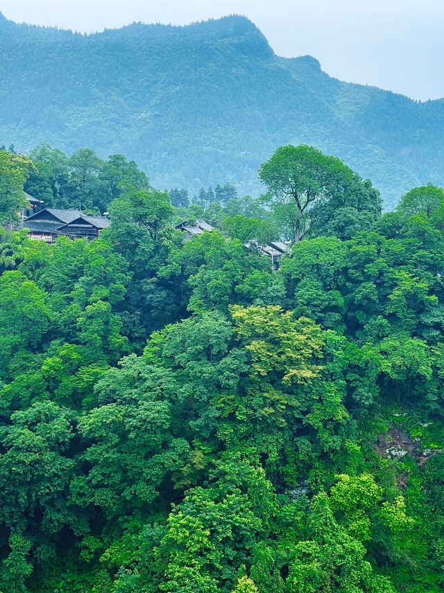 雲上夯坨