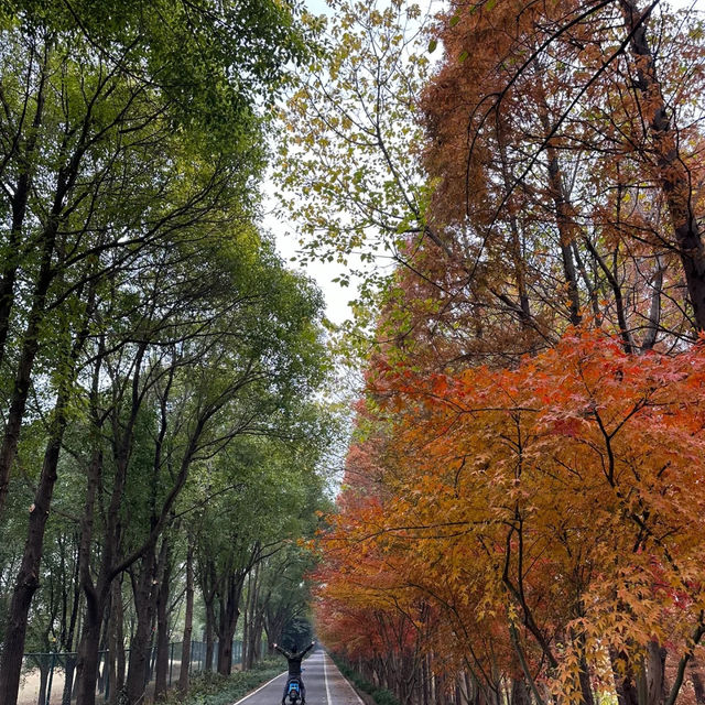 我在張家港，穿過九十九場煙雨