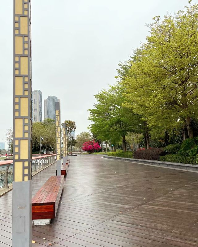 蛇口醉美之處，就是這處小眾「平平無奇」的公園！