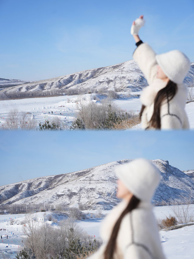 白雪駿馬之旅～冬季的錫林郭勒