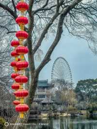 蠡園新年紅