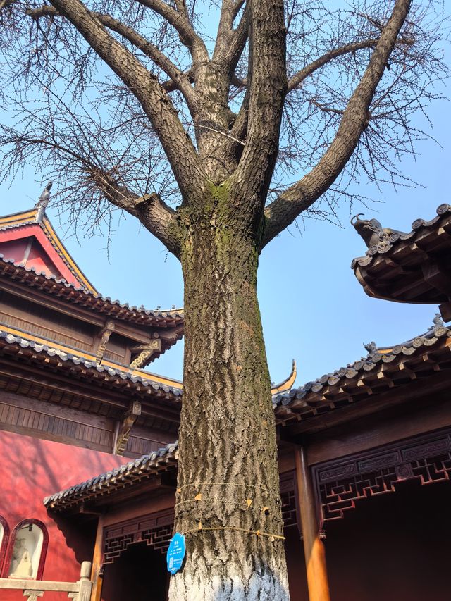 合肥·明教寺心誠則靈，所求皆所願