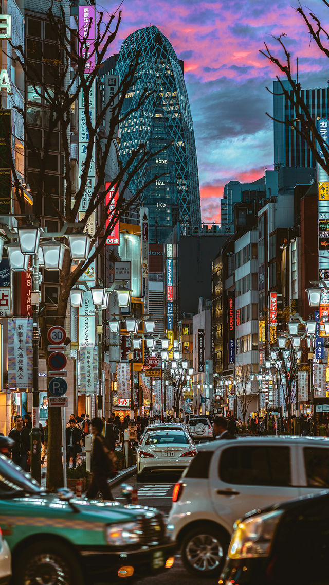 東京｜燦爛的東京夜景與隱匿在弄巷裡的煙火氣