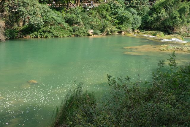 荔波小七孔，泉在山中鳴