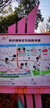 高東櫻花園：上海最長的沿河櫻花長廊