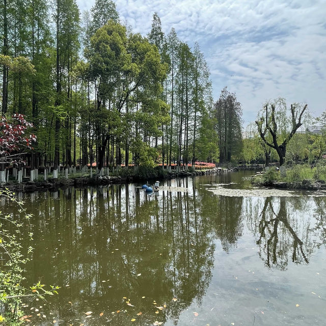 城市公園圖鑒｜泗涇公園