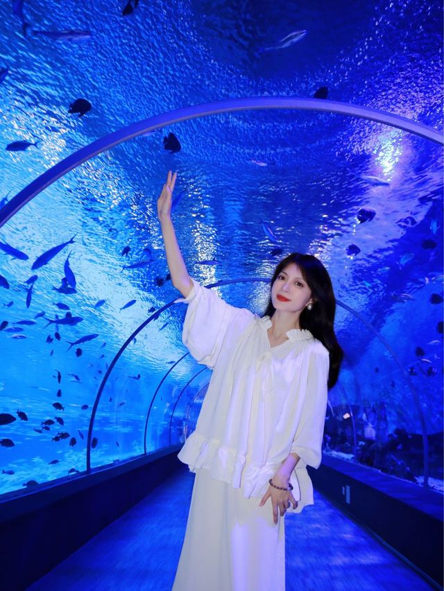 重慶五一去哪兒快來海洋公園圓藍色之夢