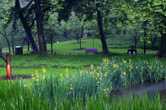 杭州秘境——太子湾公園