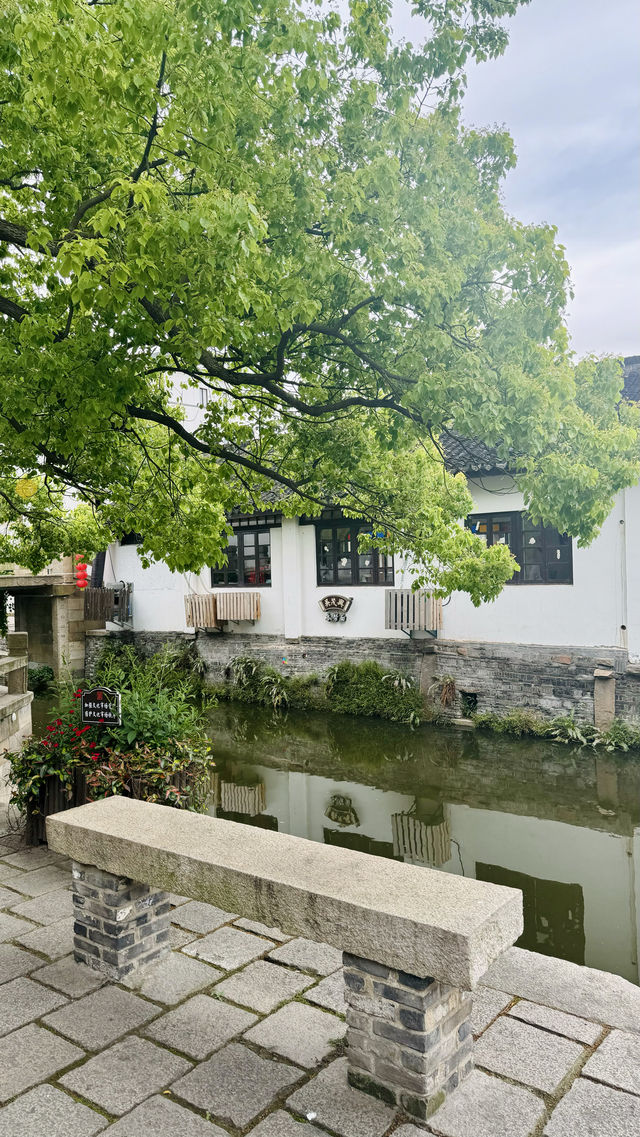 周末出去走走吧｜古鎮裡的花開得特別好