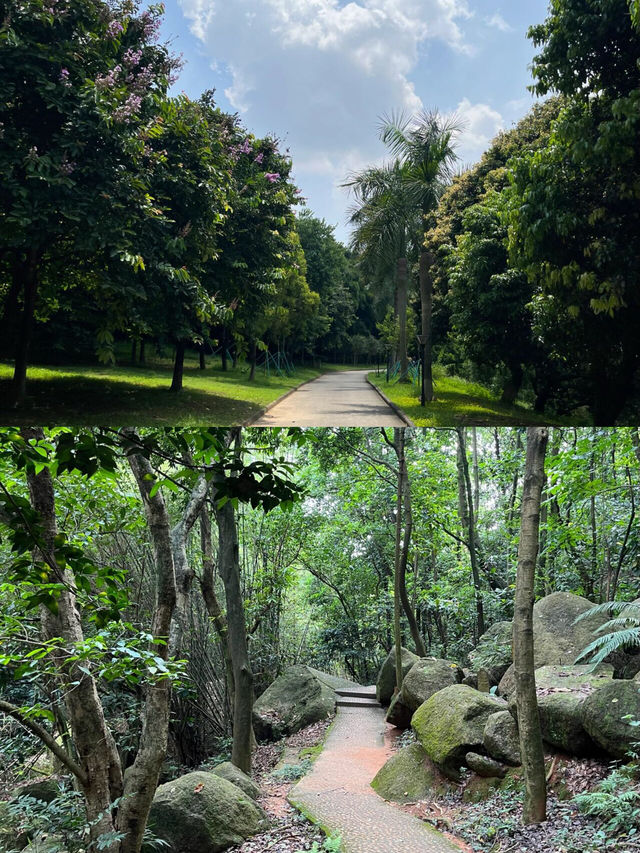 廣州龍頭山🪨｜清涼的天然氧吧，難度登頂