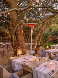 🌿🏨 Unwind in Luxury: Grootbos, South Africa's Hidden Gem 💎