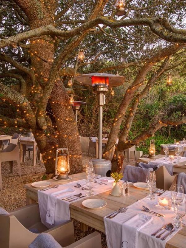 🌿🏨 Unwind in Luxury: Grootbos, South Africa's Hidden Gem 💎