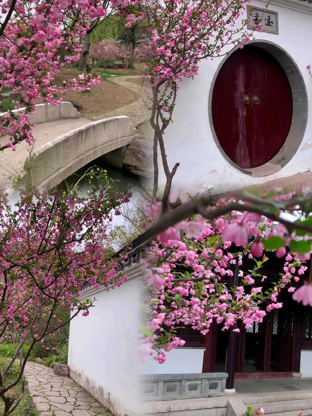 虎丘濕地公園｜一年四季的寶藏公園