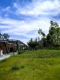 地下是停車庫｜地上是小河公園