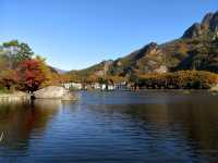 沈陽至黃椅山森林自駕遊攻略