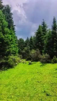 鹞子沟的故事。