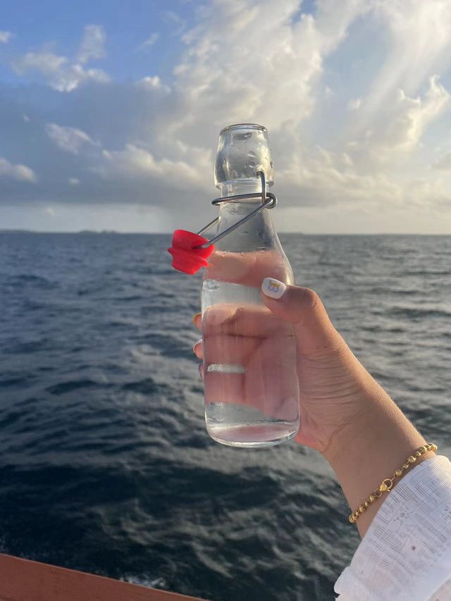 一價全包划算哭！馬代禧亞世嘉，親民滑梯島。