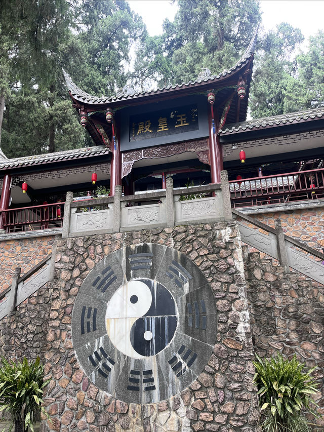 成都仙家重地！見到這隻鶴才算真正去過成都鶴鳴山