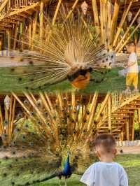 廣州南沙原生態竹子打造的水鳥世界生態園