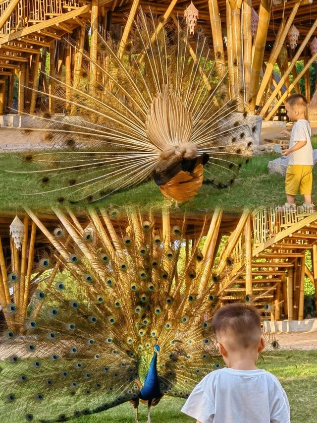 廣州南沙原生態竹子打造的水鳥世界生態園
