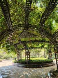 莫奈花園，拍照聖地！！