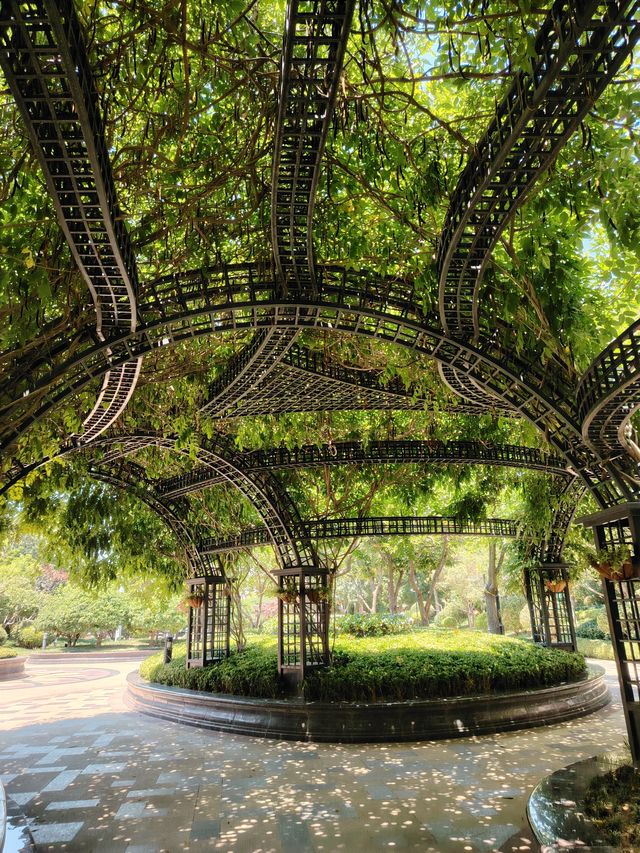莫奈花園，拍照聖地！！