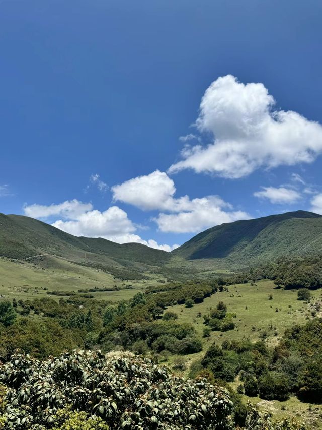 鳥吊山|雲南的無濾鏡阿勒泰～