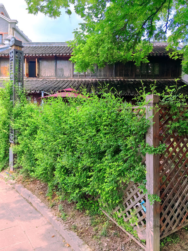 上海松江 | 西林禅寺徒步，遇見不一樣的風景