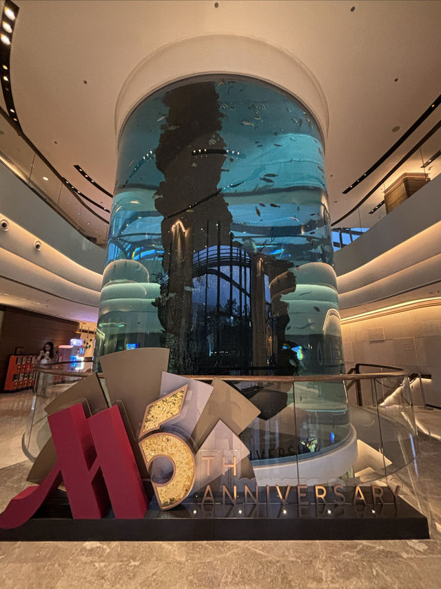 香港海洋公園旁的寶藏酒店！