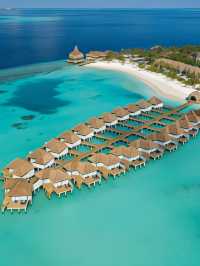 🌴🍹 Maldives Marvels: Chill Vibes & Culinary Delights at Outrigger Resort 🏖️🥂