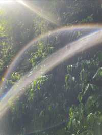 秘境叢林探險～邂逅一場太陽雨