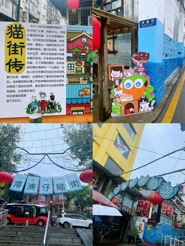 廈門City walk從古剎到海島浪漫一日遊路線