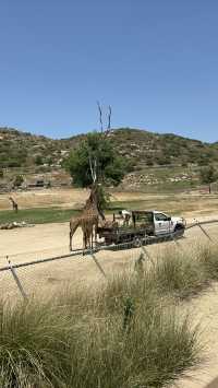 San Diego Safari Zoo