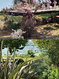 大理拍照| 發現洱海的秘密花園  angebaby 同款名宿