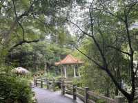 從化廣東溫泉賓館裡面的白石山