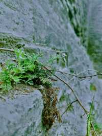 愛上山西古村落（一）——孝義·臨水村