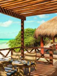 🌴 Cancun's Paradise: Hyatt Ziva's Adult-Only Bliss 🍹