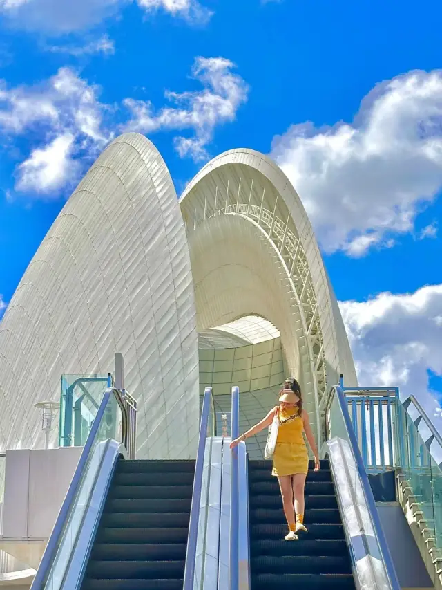 請收下珠海蚌殼公主整理的攻略