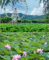 西安周邊這個地方也太適合帶孩子逛了吧