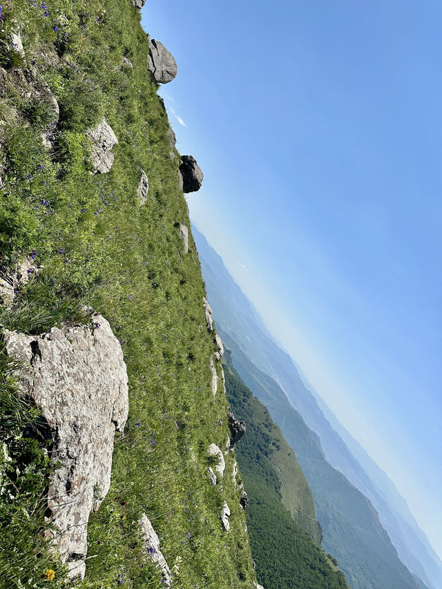 崇禮週末