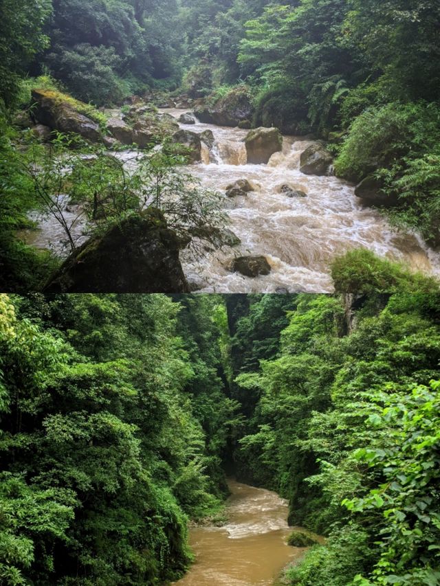 這個夏天，在貴州玩水徒步，這個地方一定很適合你