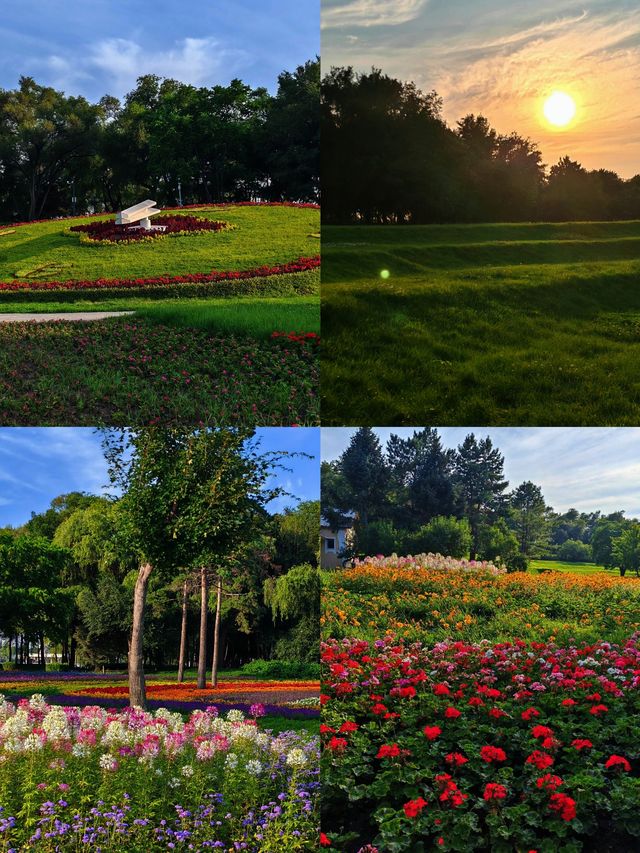 太陽島｜哈爾濱的莫奈花園