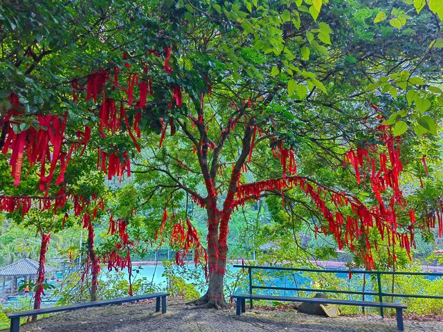廣州周邊-夏日避暑親水勝地