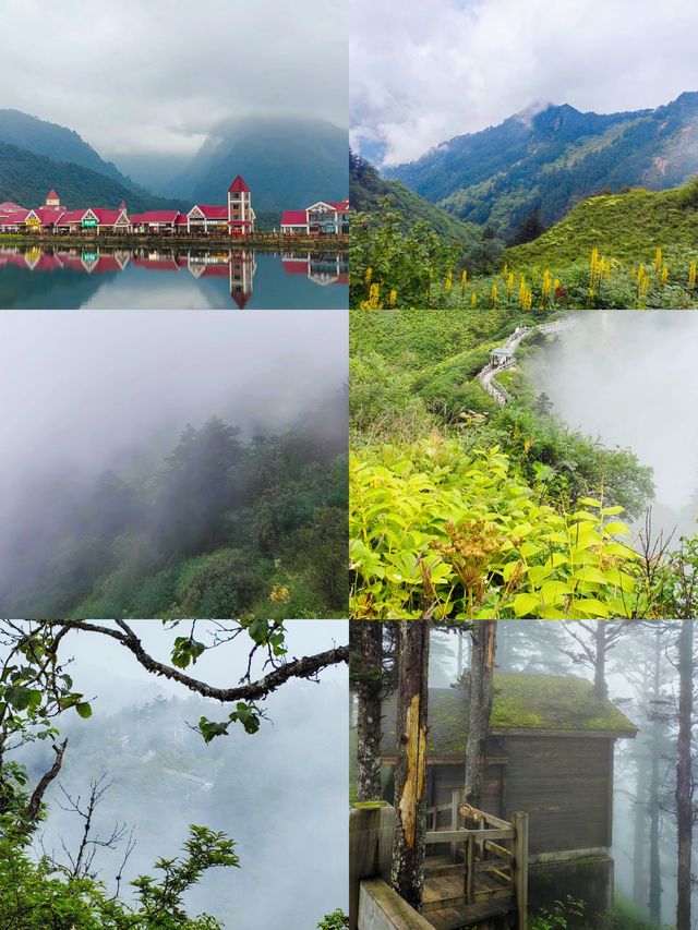 清涼一夏！西嶺雪山團建正當時||